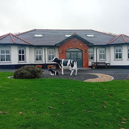 Creeghduff Lodge Downpatrick Exterior foto